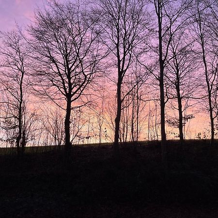 La Canopee Des Arbres, Anna Ellezelles Esterno foto