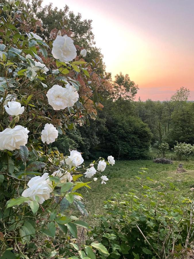 La Canopee Des Arbres, Anna Ellezelles Esterno foto