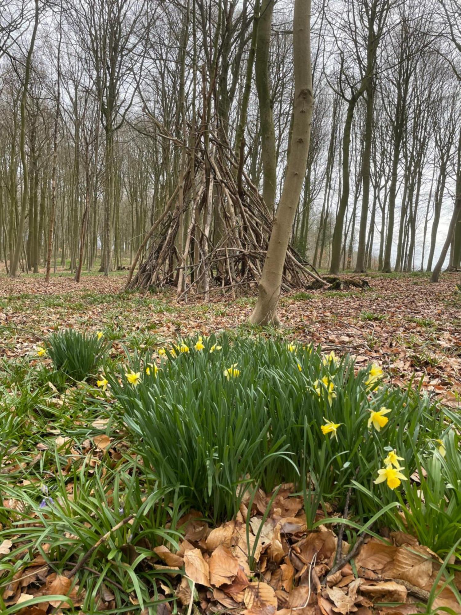 La Canopee Des Arbres, Anna Ellezelles Esterno foto